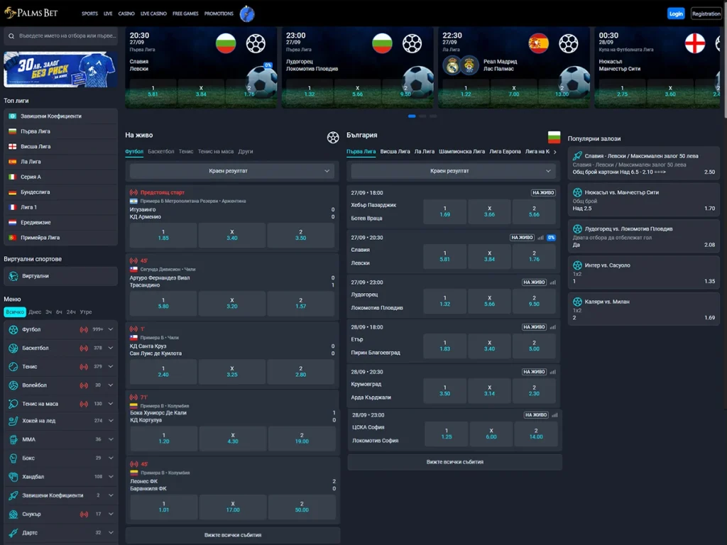 Website screenshot 2